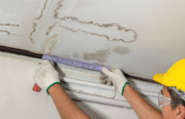 Reliable Water Damage contractor in Attica, MI by Water Damage Irwin